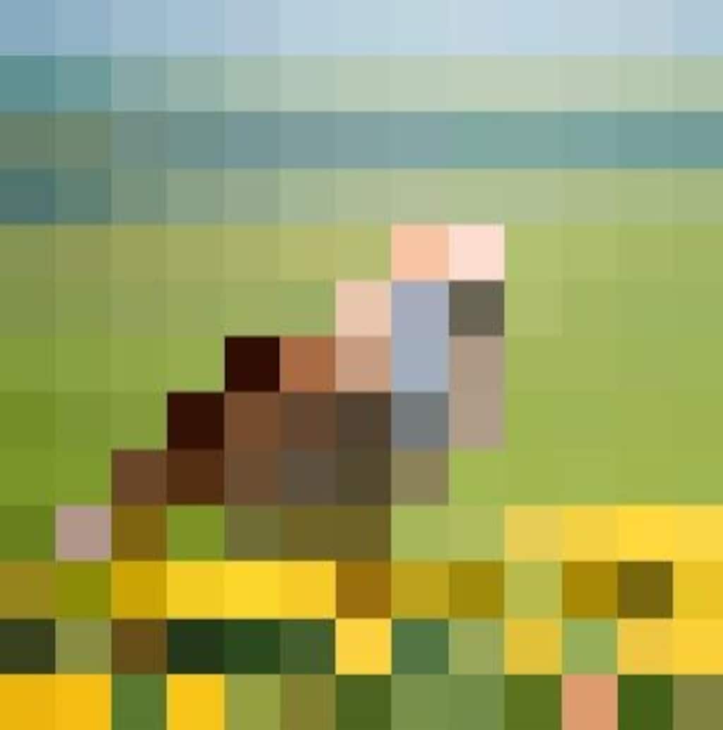 モザイクのｽｽﾞﾒちゃん