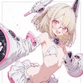 謎衣装メイドアソート 12枚目