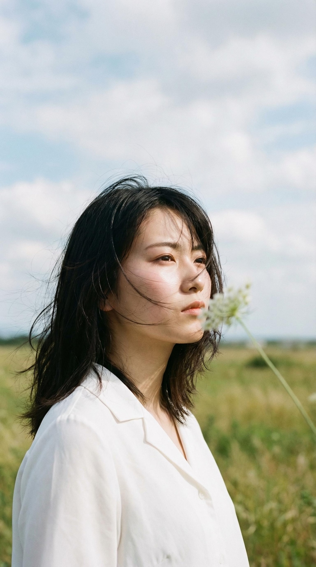 Whispers of the Delphinium