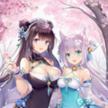 チャイナドレスｘメイド 2枚目