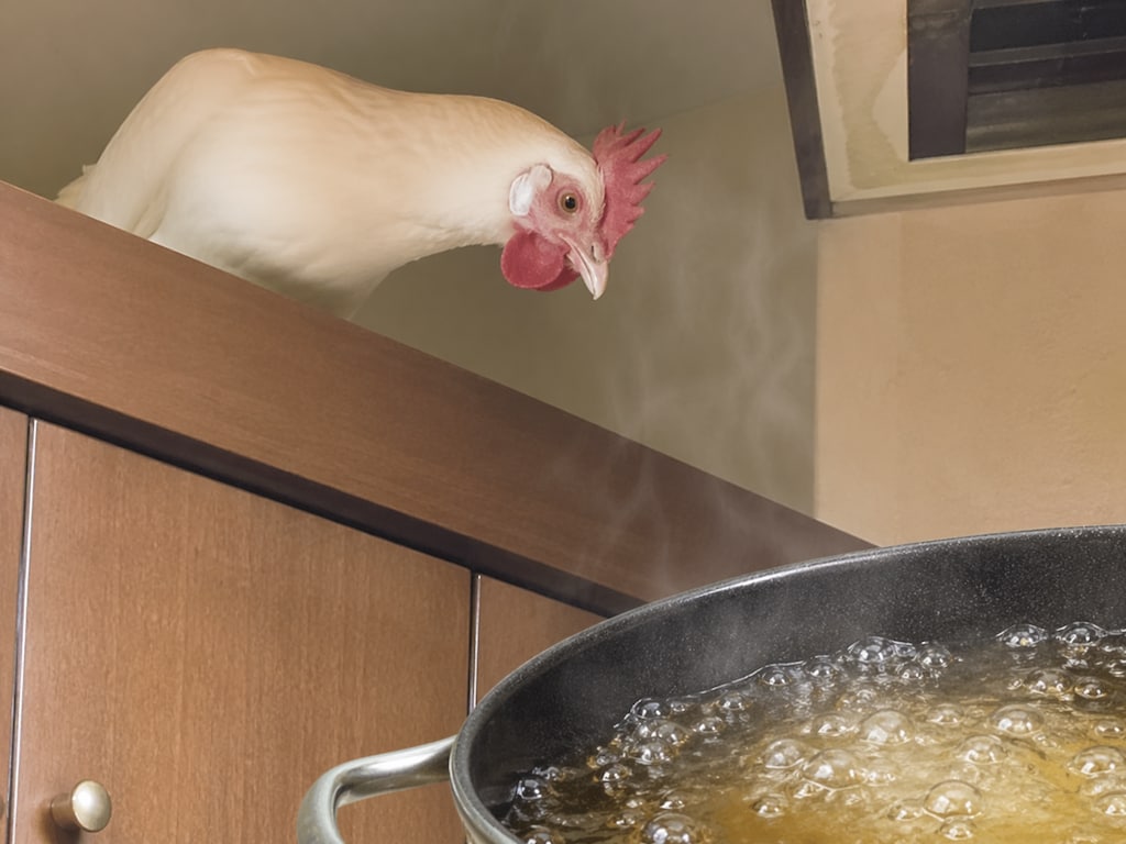 【動物】よせっ！早まるなー！！