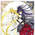 光と闇の魔法少女（昔の漫画表紙風） 4枚目