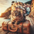 イタリア旅行する猫 2枚目