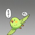 空を飛ぶ喋るインコ 2枚目