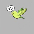 空を飛ぶ喋るインコ 3枚目