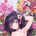 表紙 12枚目