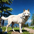 オオカミ 4枚目