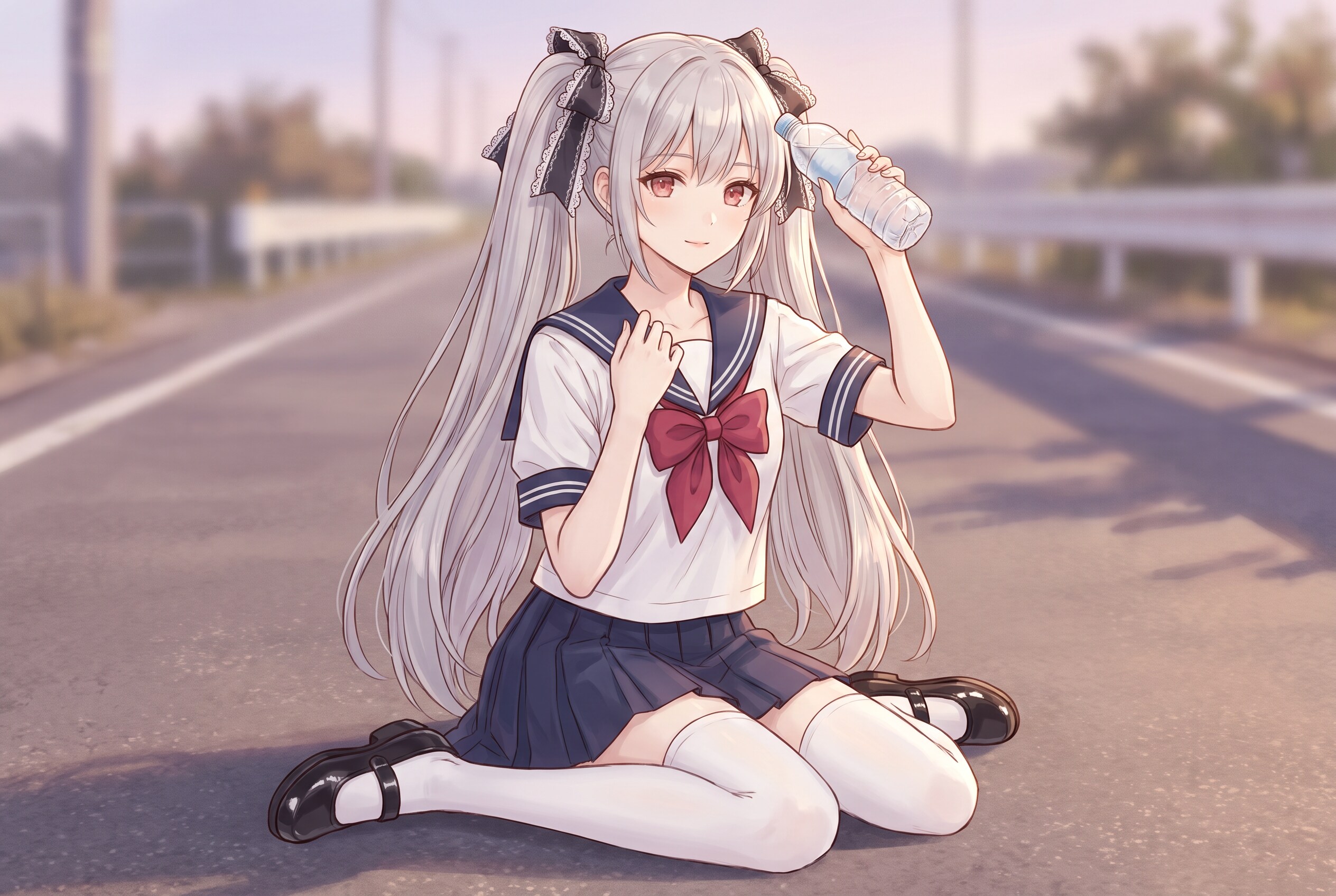 白銀双翼