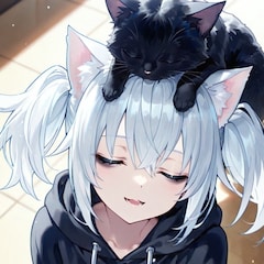 46猫