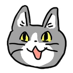現場から猫がお送りしました