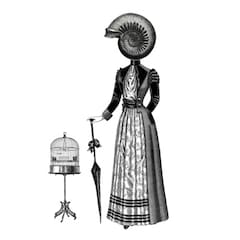 Madame_ammonite