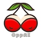 OppAIグラビア