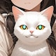 正義ぬこ