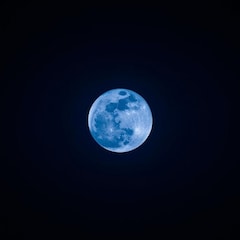 user_nz1IrwSP7