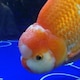 鈴三那