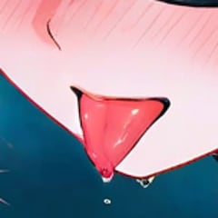 こいこい
