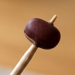 ひとつぶあずき