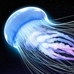 niko-25p_jellyfish