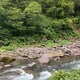 アルパカだっしゅ