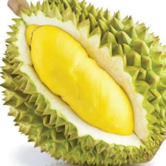 dodoria