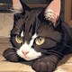 fuwa