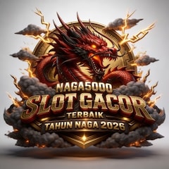 The NAGA5000 System Audit and Performance Review