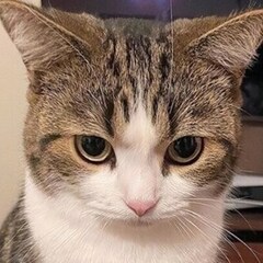 巻き戻し