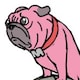 MR.Dog