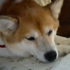 hiro_fRozH9LmS5