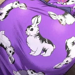 鷹狩り
